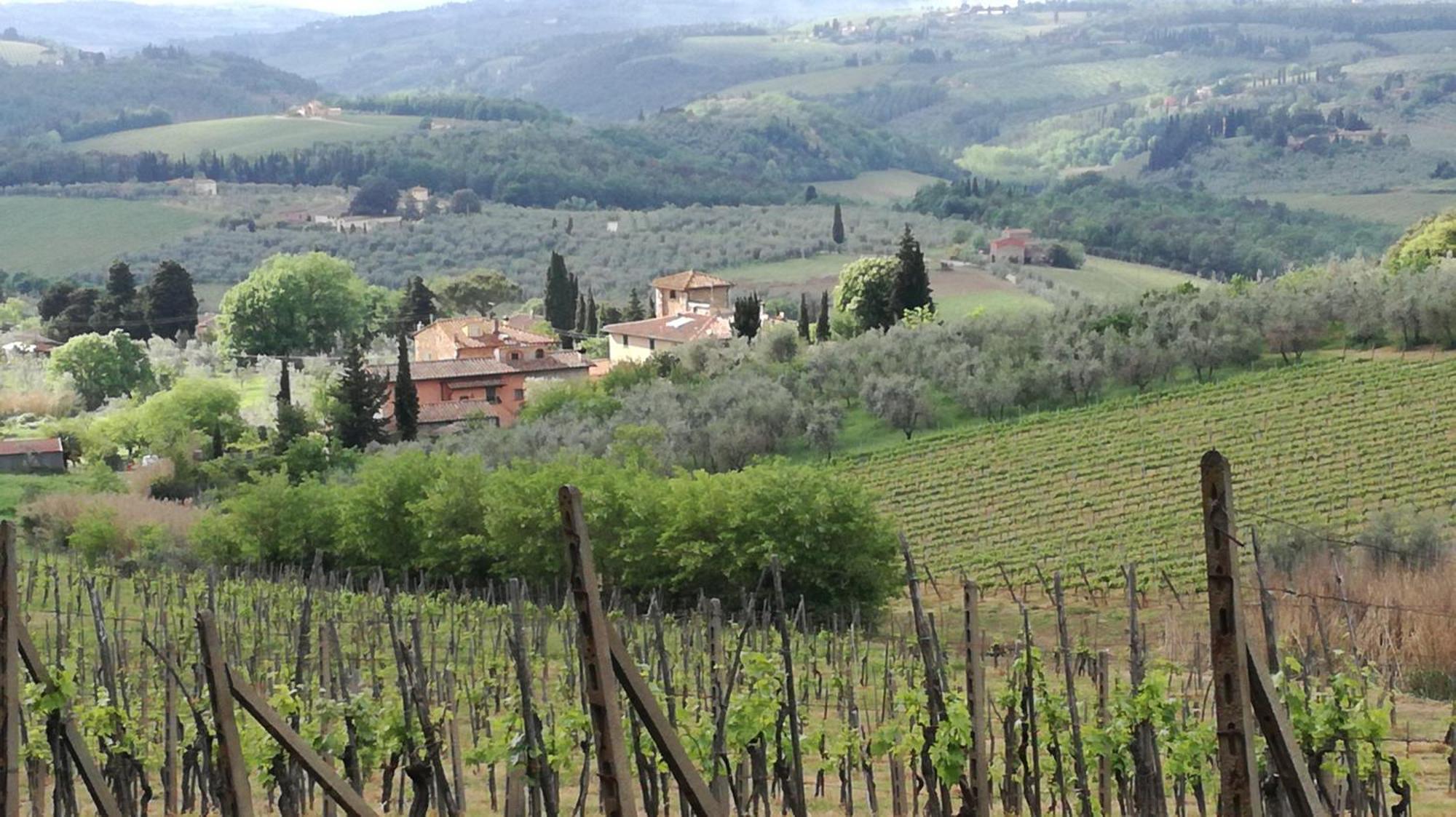 Agriturismo Podere La Cava Mercatale Val Di Pesa Eksteriør bilde